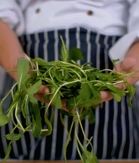 馬蘭頭焯水，切成細末。